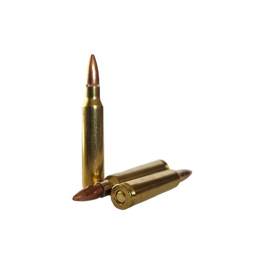 fmj-bt-55grain-ammo